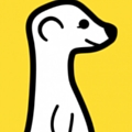Meerkat App 